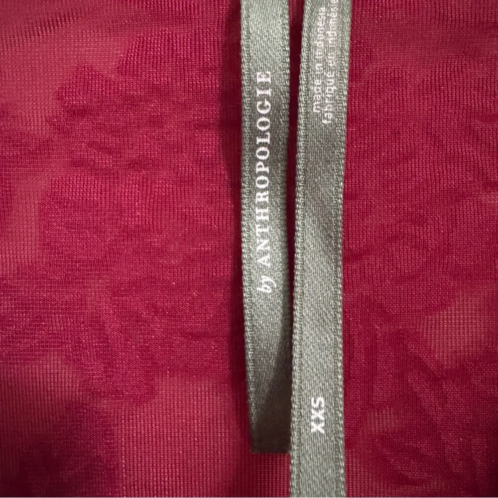 Anthropologie burnout velvet
